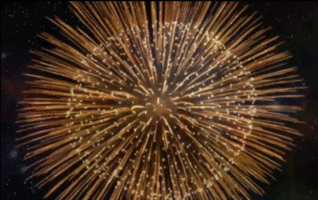 Gif animé feux d'artifices 40